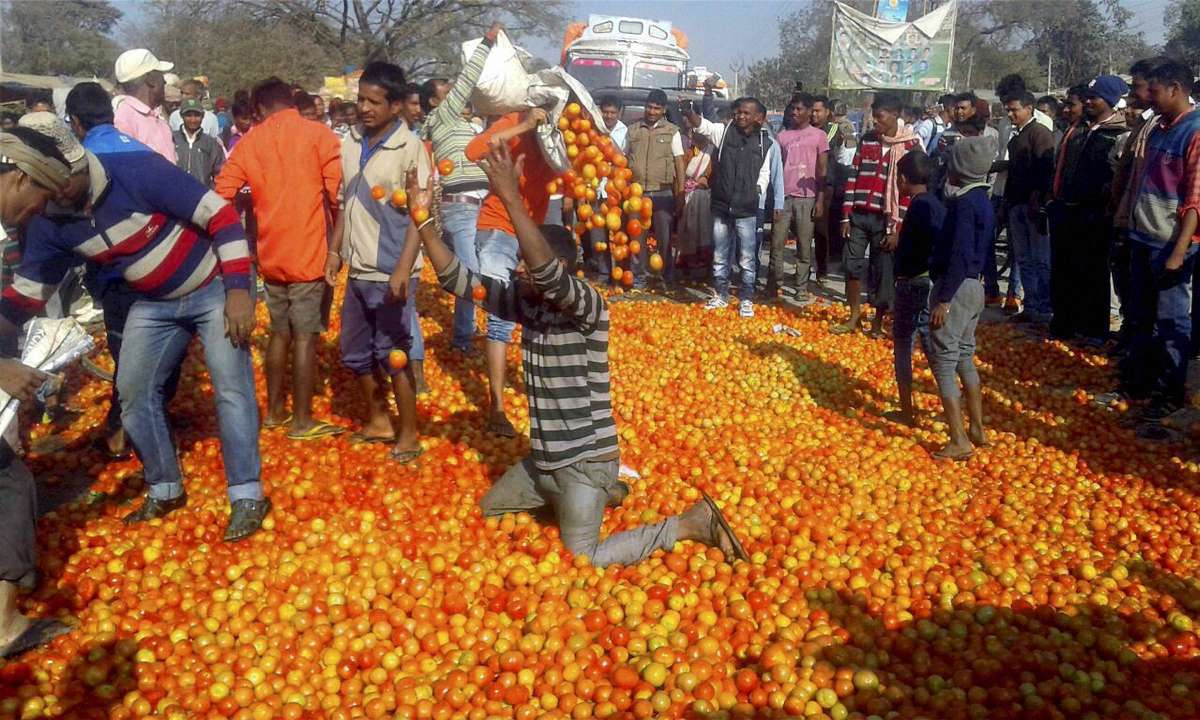 Pakistan Tomatoes now cost Rs 500 per kilo in Lahore India TV
