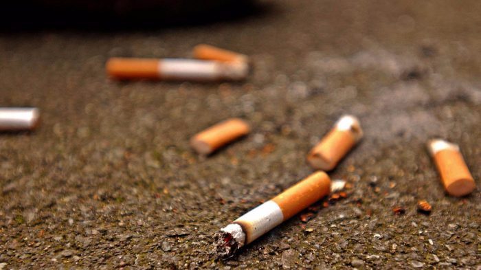 India remains world's second largest consumer of tobacco