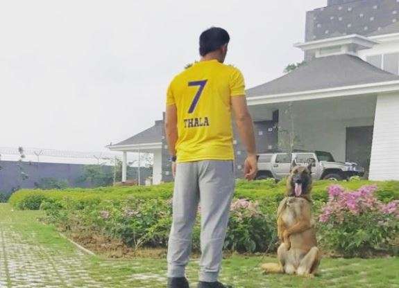 MS Dhoni in CSK jersey