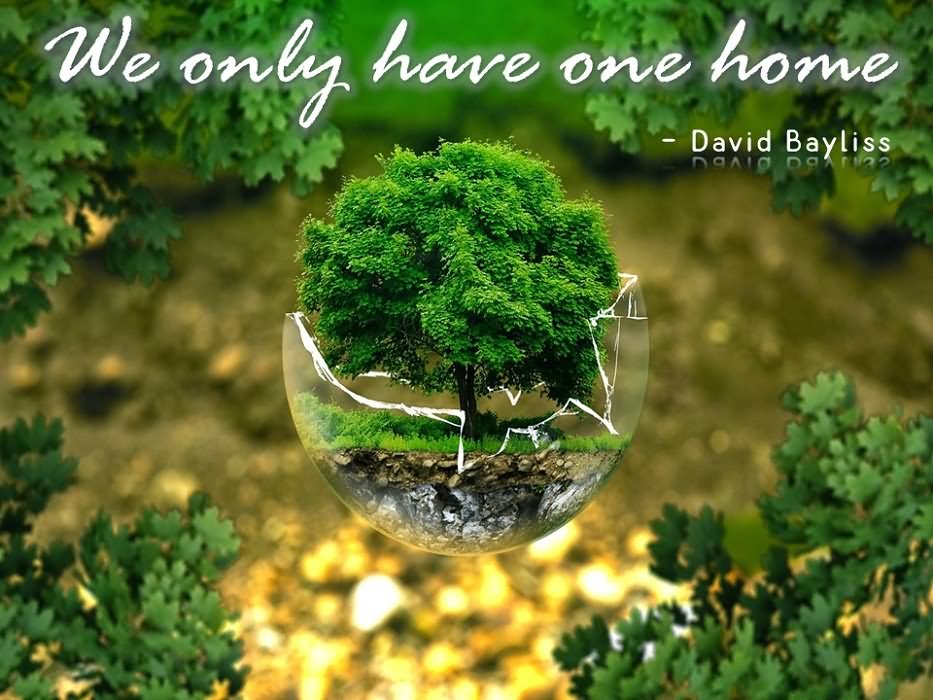 Happy World Environment Day 18 Theme Quotes Poster Slogan Significance Whatsapp Messages Hd Images Lifestyle News India Tv