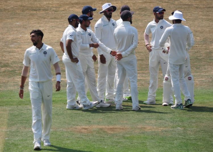 India celebrate a dismissal in Chelmsford