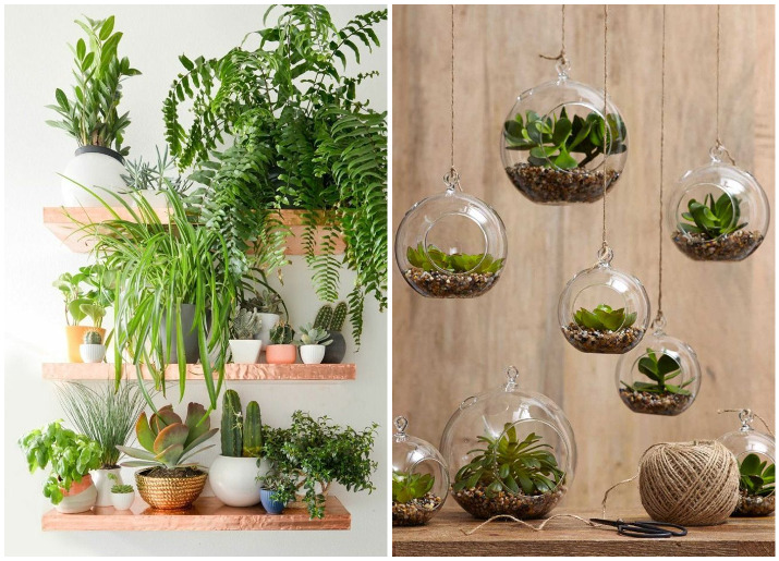 Ways to use Indoor Plants in your Home Decor