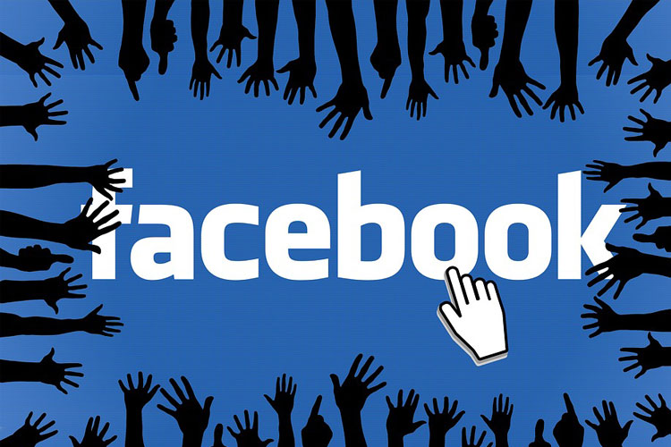 Facebook removes over 800 accounts linked to US mid-term polls