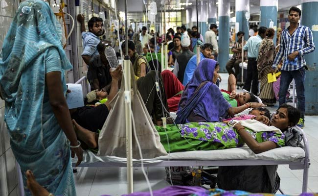 830 Dengue Cases Reported In Delhi This Season, Nearly 350 Recorded In ...