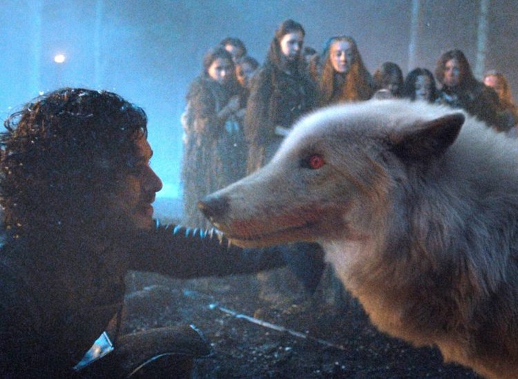 'Game of Thrones' to bring back Jon Snow's direwolf Ghost in Season 8