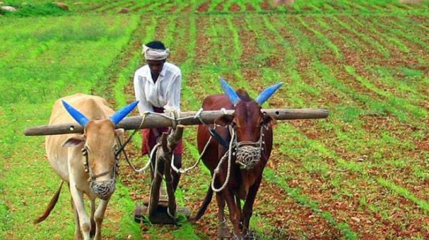 Govt mulling big financial package to woo farmers ahead of 2019 Lok Sabha polls: Sources