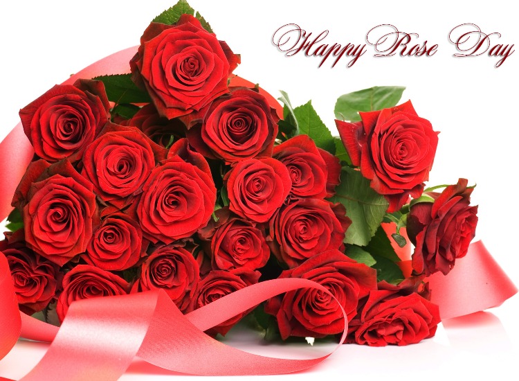 Happy Rose Day 2019: Images, greetings, GIFs, quotes, wallpaper, status for  your WhatsApp, Facebook | Relationships News – India TV