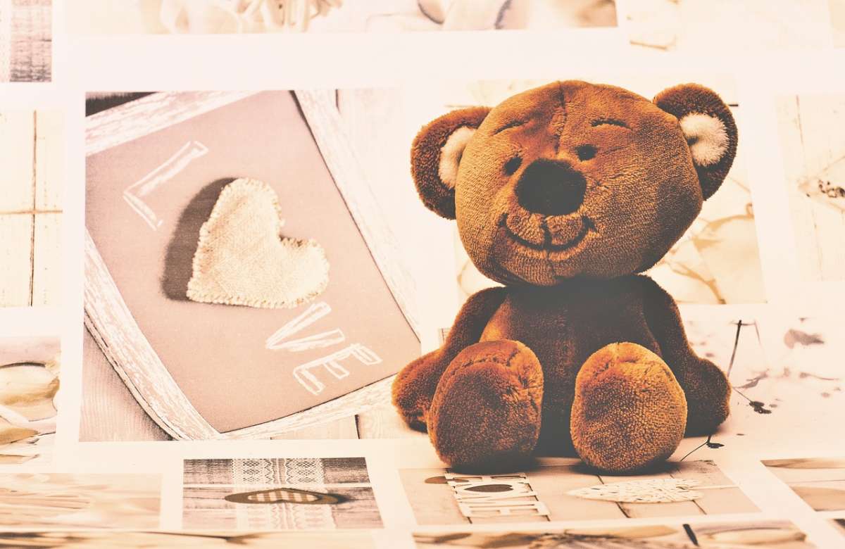 teddy bear whatsapp