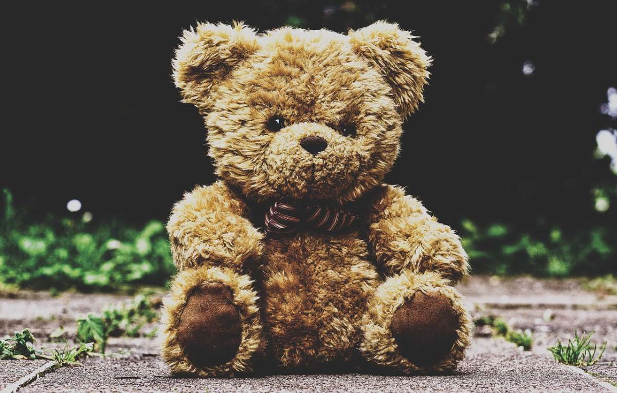 happy teddy bear day 2019