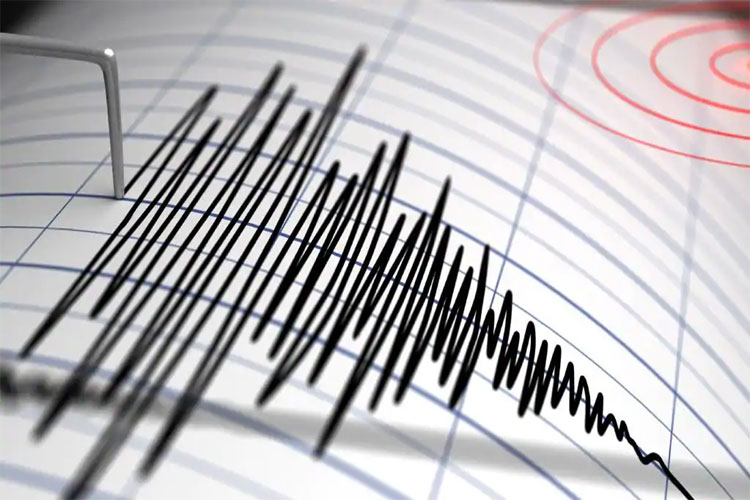 Earthquake in Rajasthan; tremors of 4.0 intensity felt in Sikar – India TV