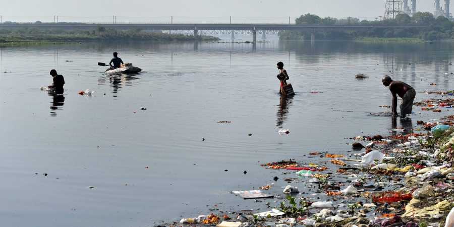 Pollution in western UP rivers: NGT directs state govt to submit Rs 5 cr