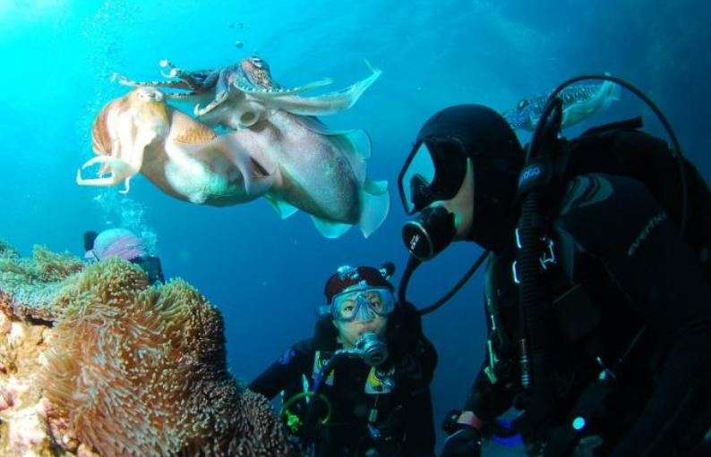 US man makes deepest dive of 10.92 km in Pacific Ocean, finds plastic