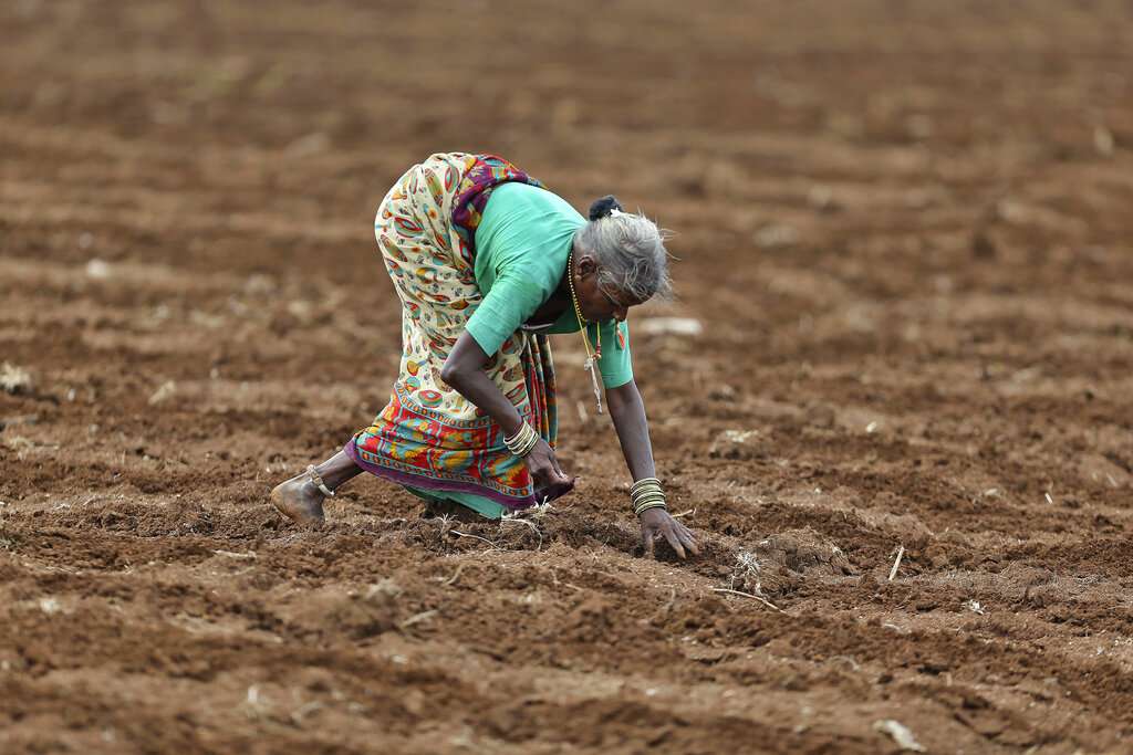 Women's agricultural labour cause of malnutrition in rural India