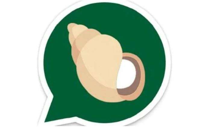 Ramdev's Kimbho app in hibernation