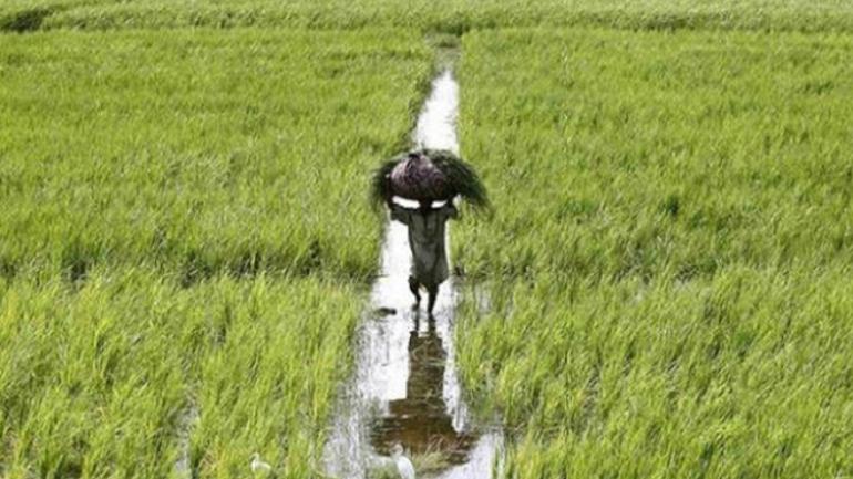 Budget should focus on promoting food processing to boost farmer's income: Experts