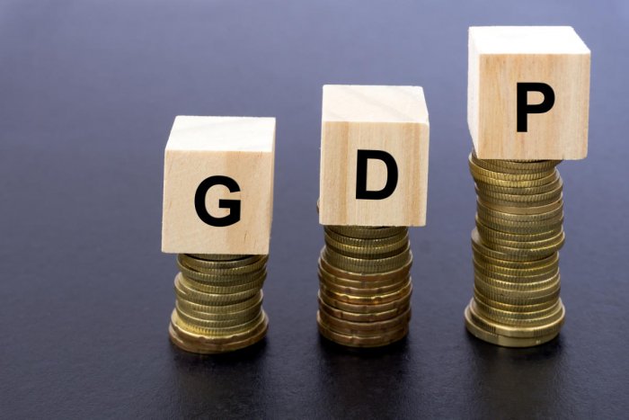 India's GDP growth overestimated by 2.5 percent, says former CEA; Government rubbishes claim