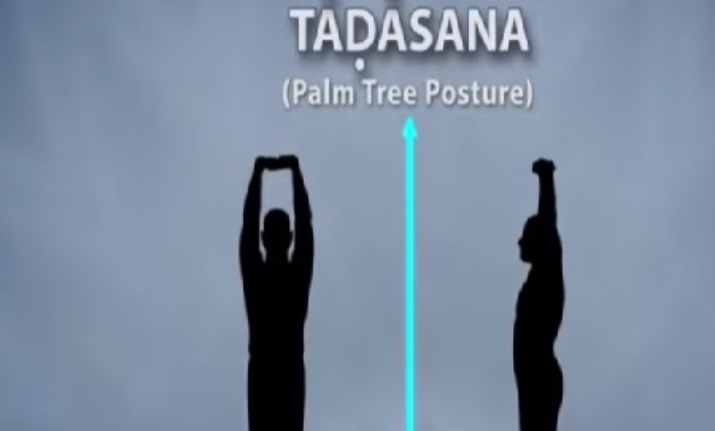 Mastering Tadasana: The Foundation of Yoga (The Mountain Pose) | CloudC Yoga