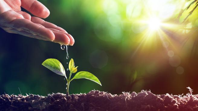 World Environment Day 2019: Eco-friendly measures that will save the depleting environment