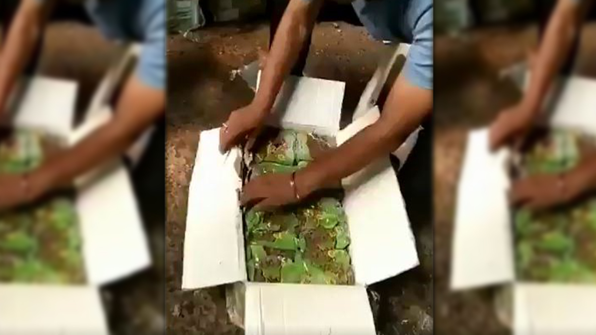 Drugs worth Rs 800 crore seized by Delhi Police in two days