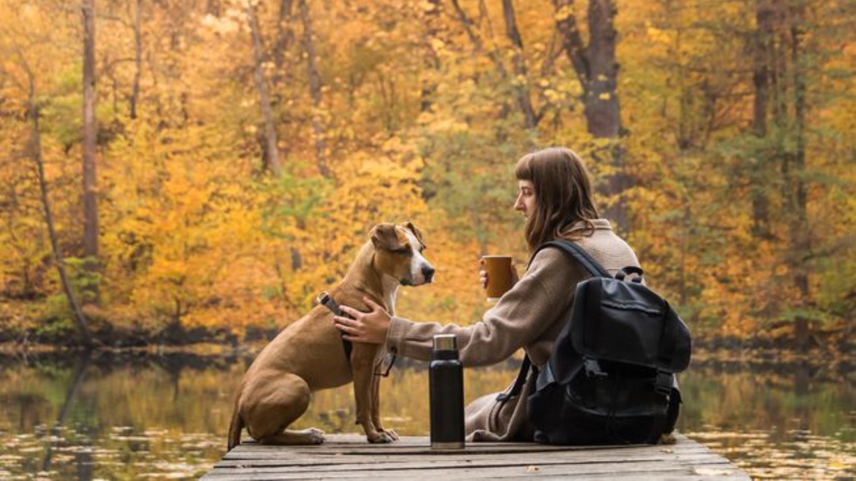 Petting dogs, cats may reduce stress in students Health News India TV