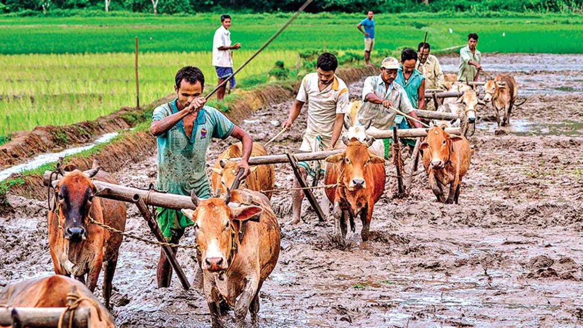 Two crore farmers to be enrolled under Pradhan Mantri Kisan Maan-Dhan Yojana by Aug 15