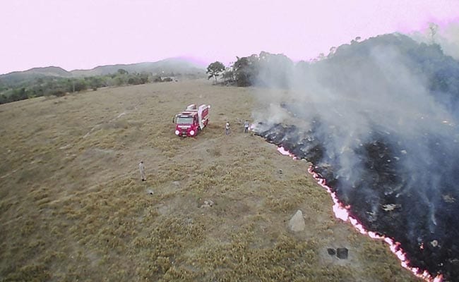 Fires in Amazon rainforest rage at record rate&nbsp;
