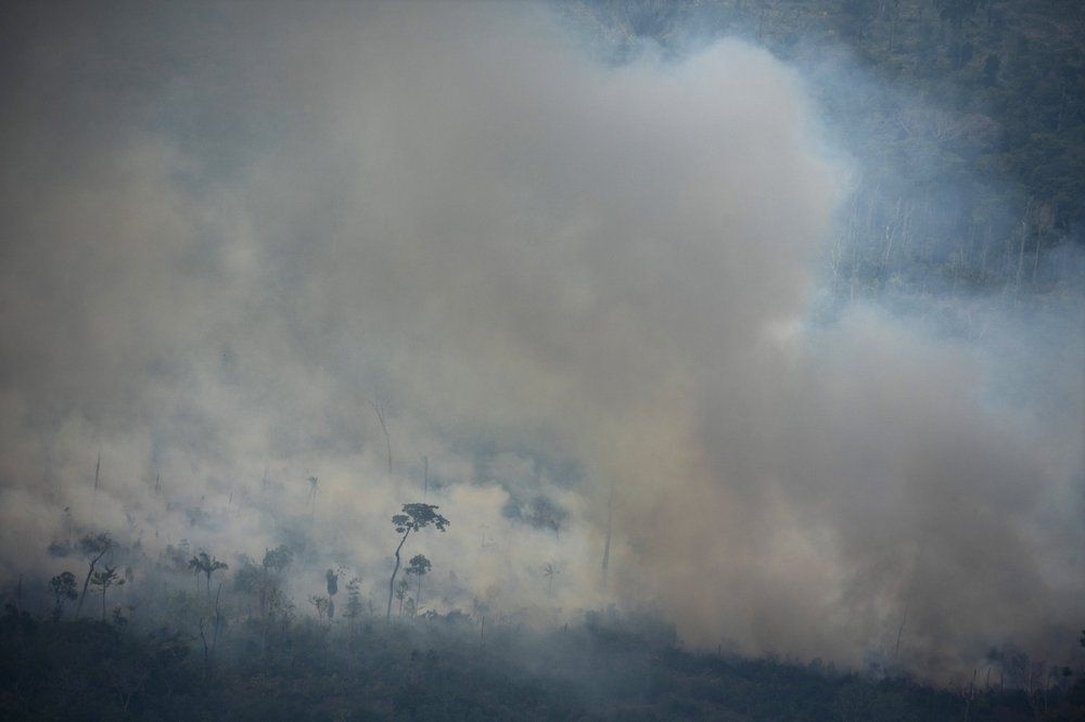 Explained | The causes and risks of the Amazon fires