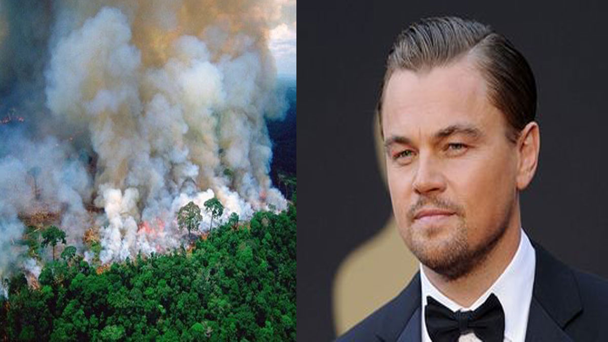 Leonardo Dicaprio shared a photo of blazing Amazon rainforest on Instagram