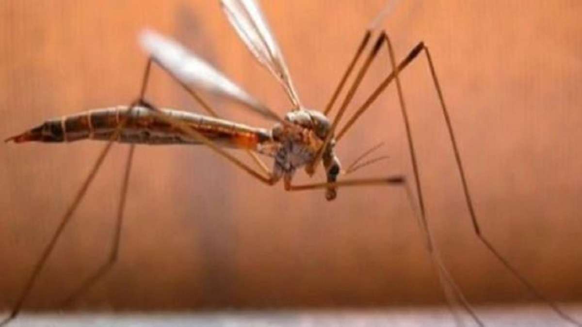 BJP alleges 250 dengue deaths in Telangana Health Minister denies charges