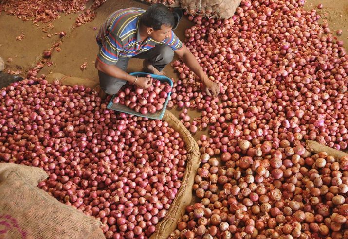 Delhi government sells onions at Rs 23.90 from today