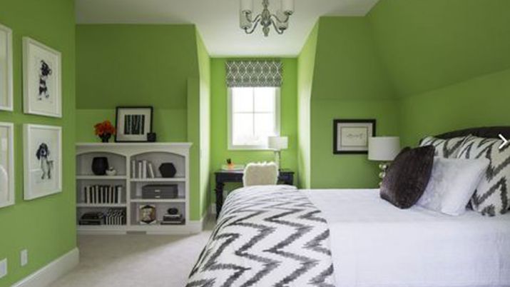 green colour in bedroom vastu