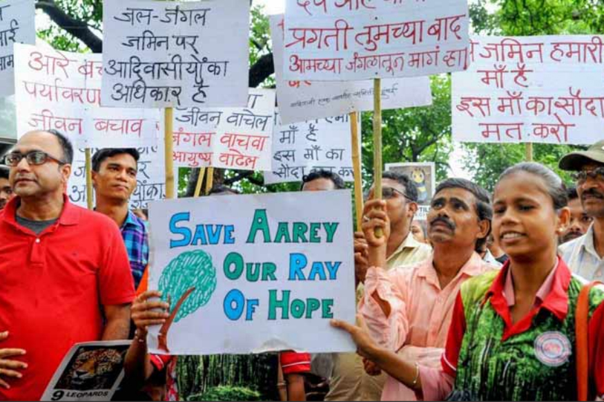 Aarey Colony not a forest: Bombay HC refuses petitions against cutting of over 2,500 trees