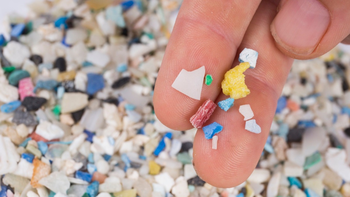 Single-use plastics: Source, impact and control of microplastics