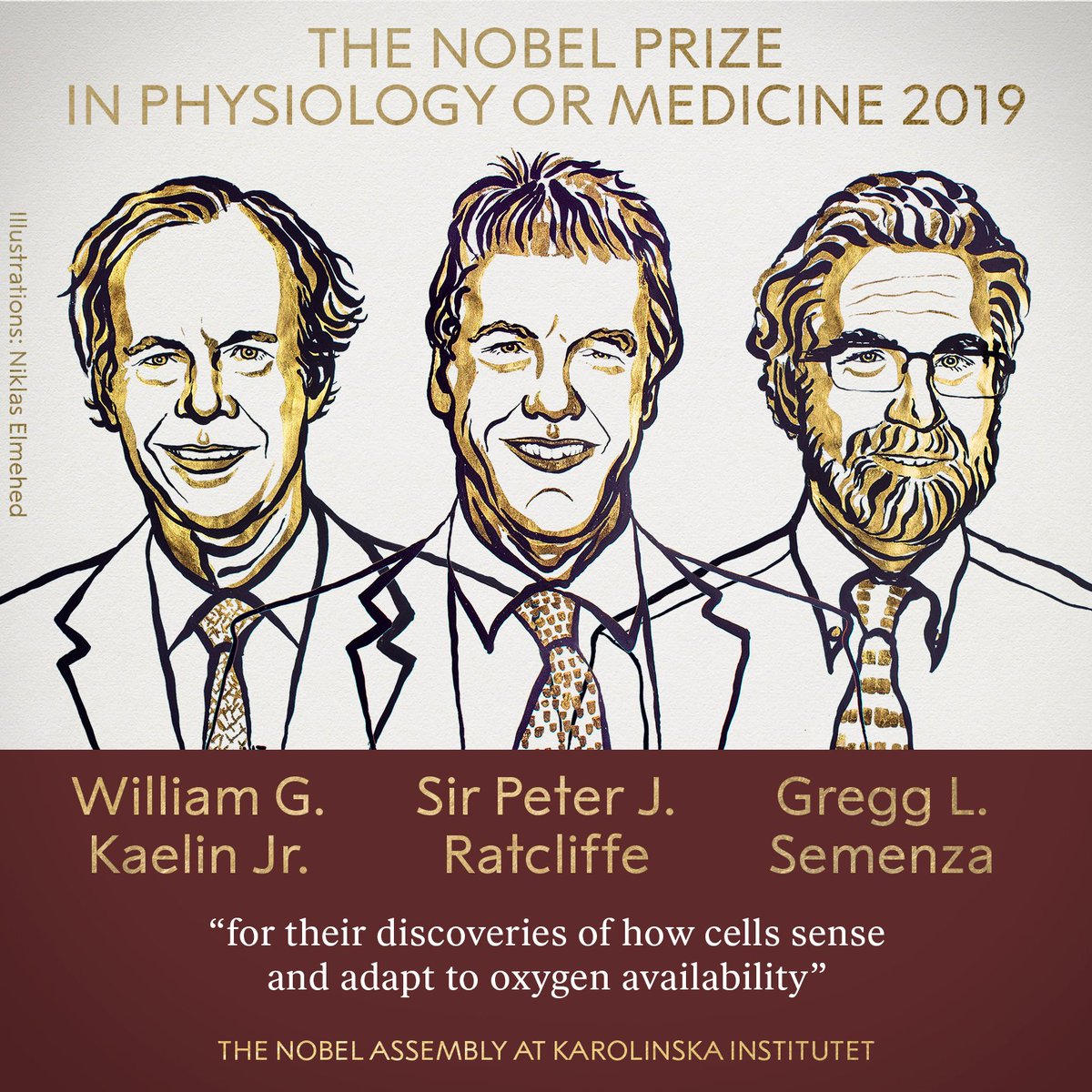 Nobel Prize in Physiology or Medicine awarded to William G Kaelin Jr, Peter Ratcliffe, Gregg L Semenza