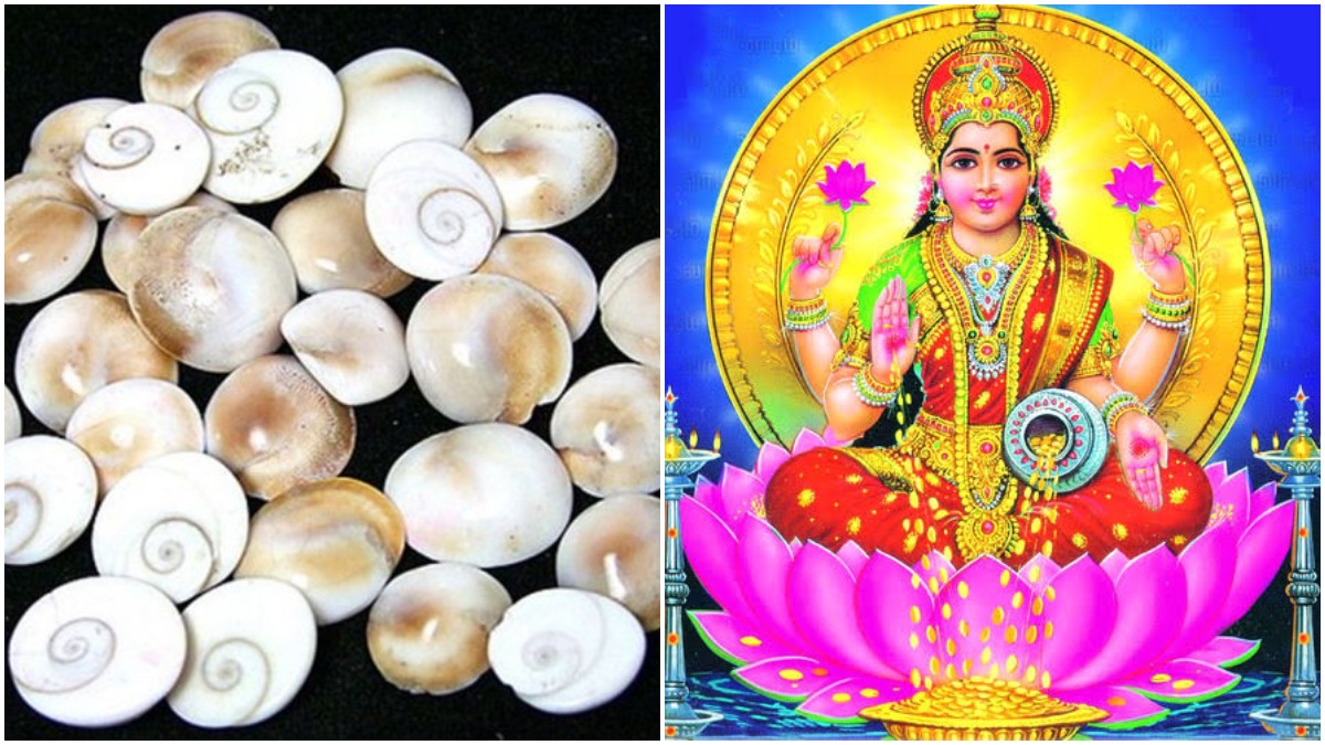 Forget gold & silver, buy these 5 things on Dhanteras this year to bring  home prosperity | Lifestyle News – India TV