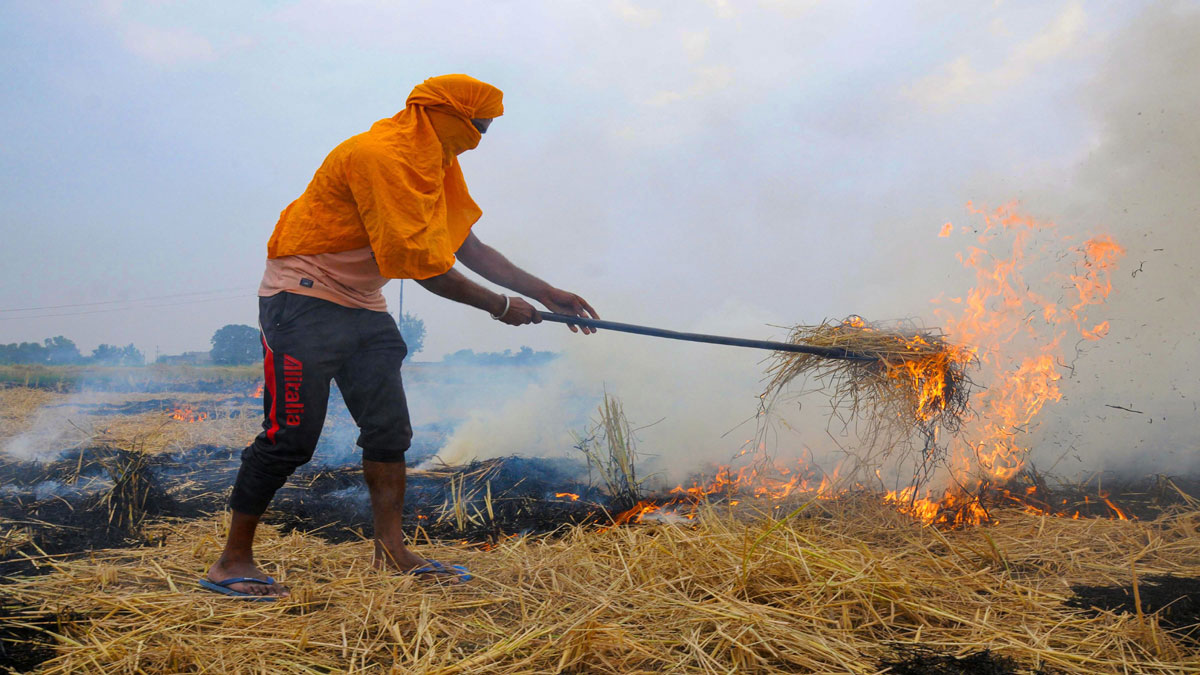 Share of stubble burning in Delhi pollution drops to 3 pc due to change in wind direction: SAFAR