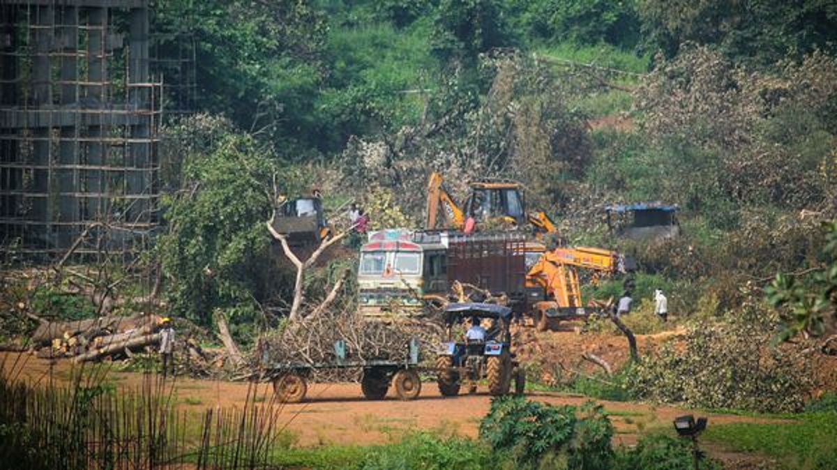 Cases against Aarey activists to be withdrawn: CM Uddhav Thackrey