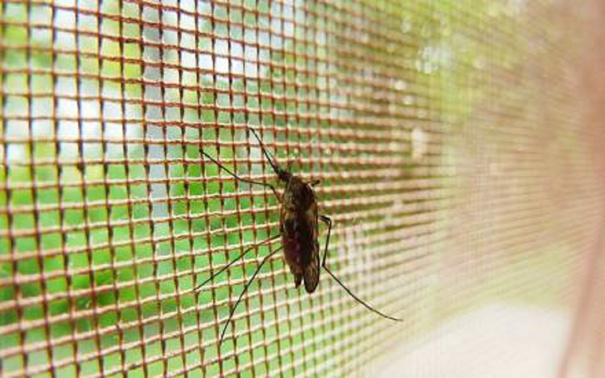 Chemically treated mosquito nets to fight Malaria in Manipur India TV