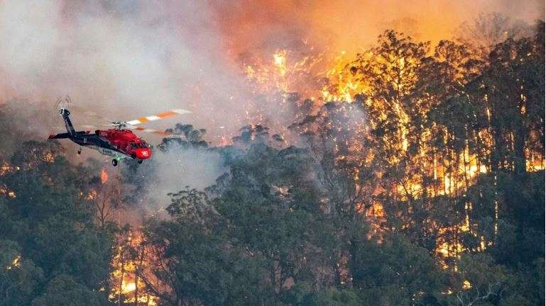 Hundreds arrested for deliberately starting Australia bushfires