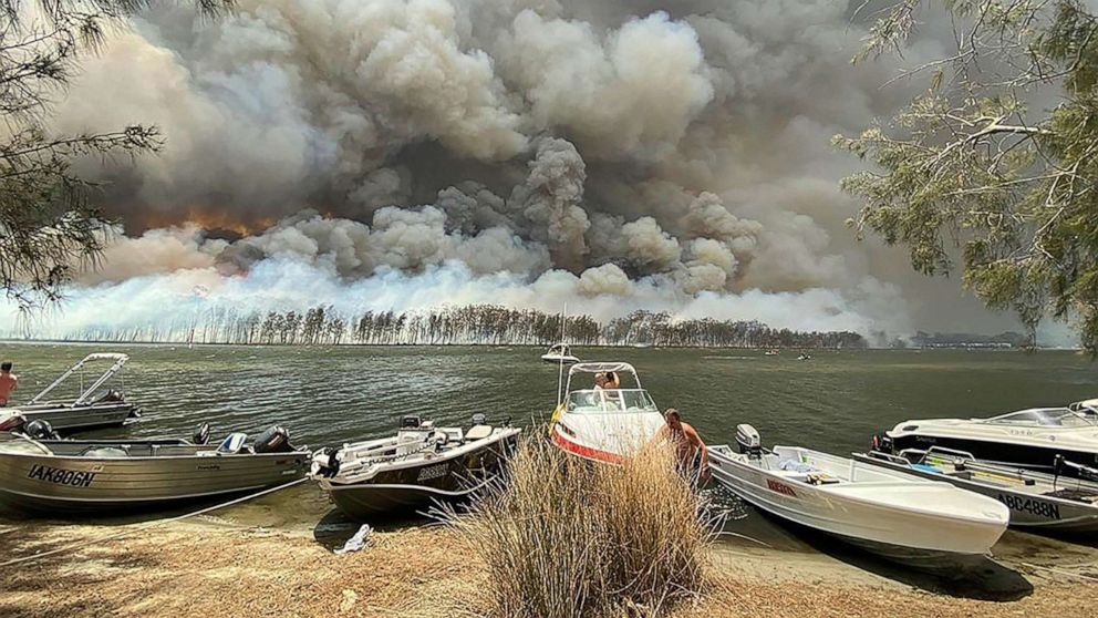 Australia declares state of emergency over bushfires