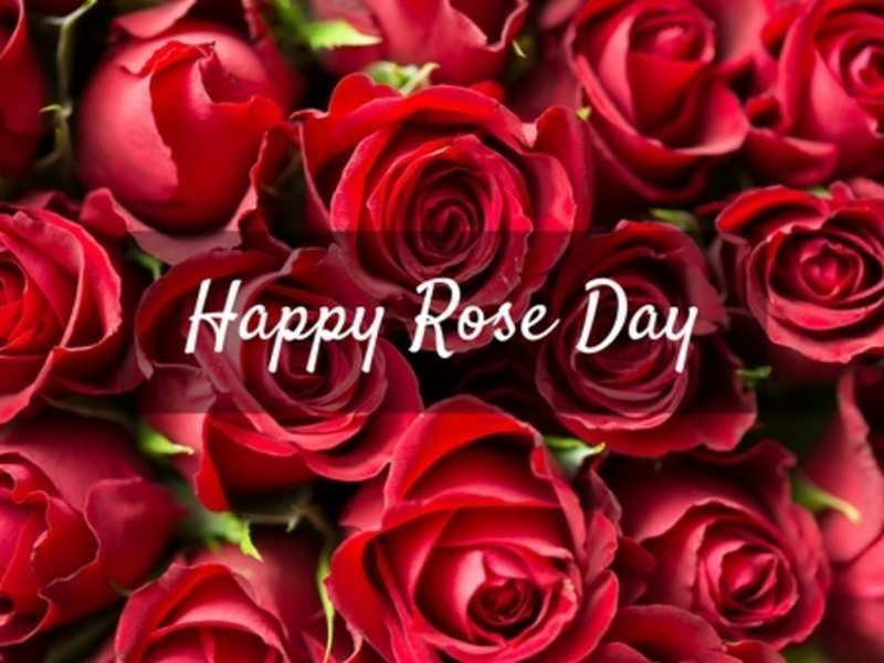 Featured image of post Rose Day Kab Hai - Rose day kab hain 2020 | rose day date 2020 #roseday #rosedaydate2020 #rosedaykabhai rose day date 2020 happy rose.
