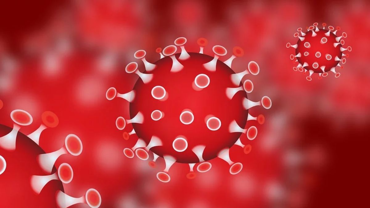 Coronavirus cases in Iraq