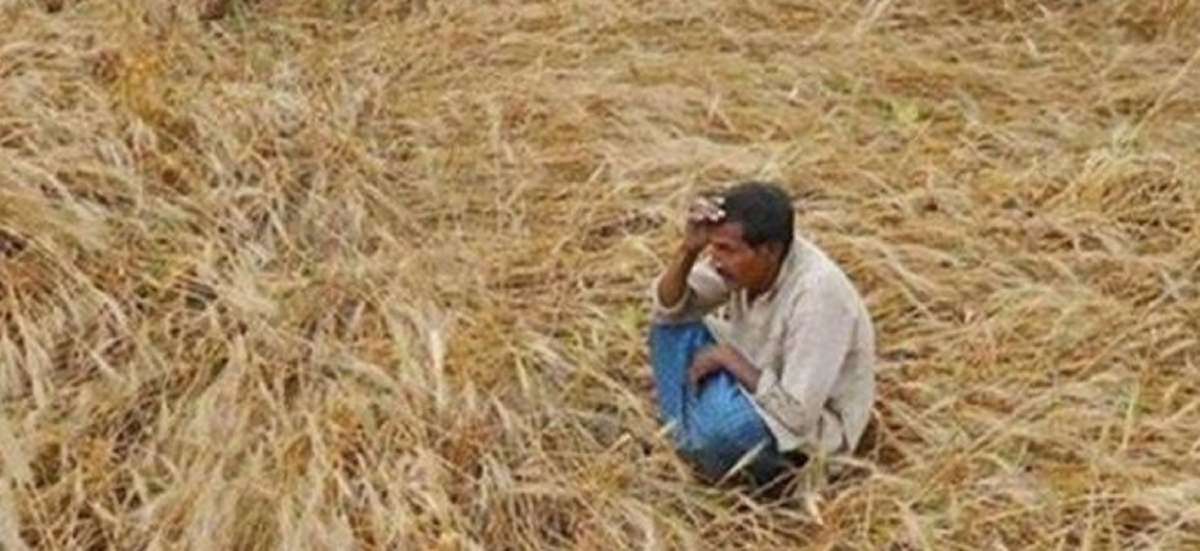 Debt Ridden Farmer Commits Suicide In Up S Saharanpur India Tv