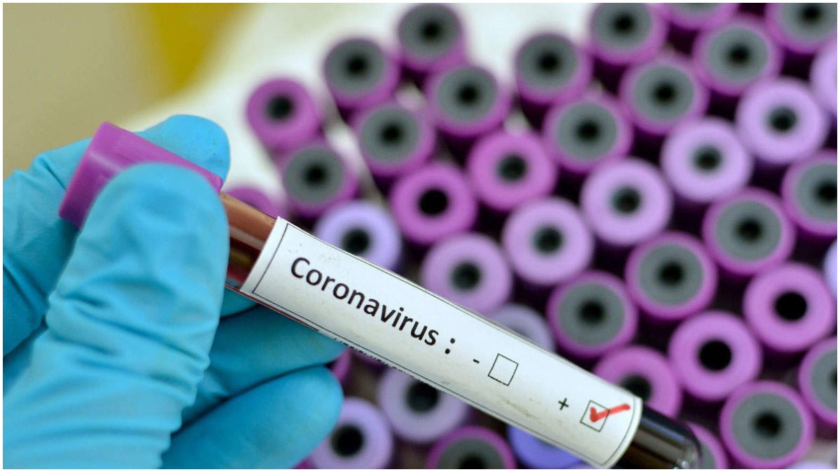 Stay at home, take lockdown seriously: Medical experts on fighting coronavirus (Watch Video)