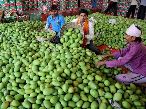 Hailstorm destroys mango worth Rs 60 crore in West Bengal's Malda