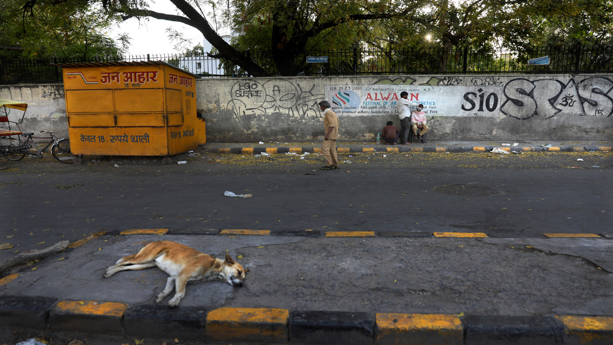 Delhi govt declares several areas in Zakir Nagar and nearby as containment zones