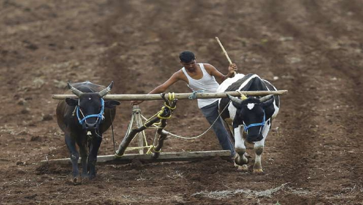 Lockdown Guidelines: Select activities in Agriculture, IT, e-commerce to resume from April 20 – India TV