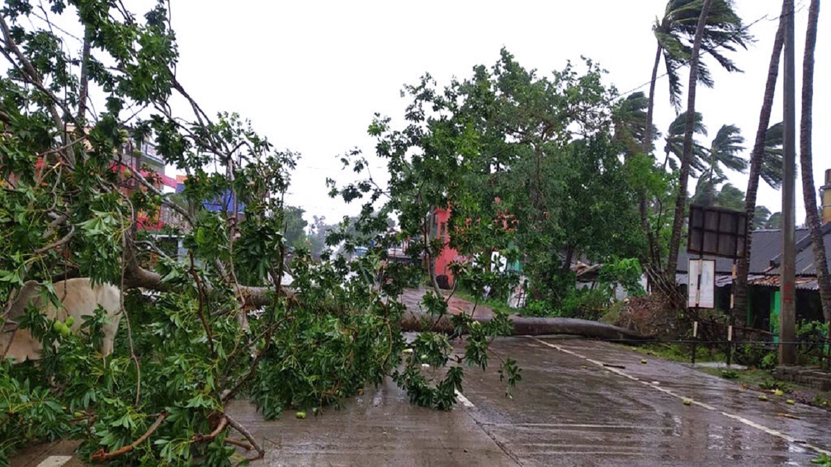 Cyclone Amphan: Thousands of trees uprooted in Kolkata, almost 500 in Salt Lake alone