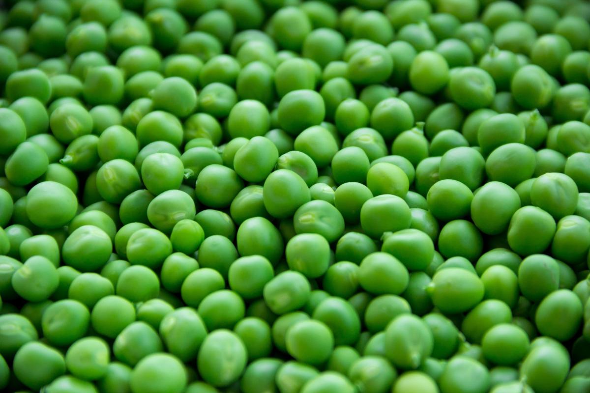 4,000 tonnes of peas procured in Himachal Pradesh's Solan amid lockdown India TV