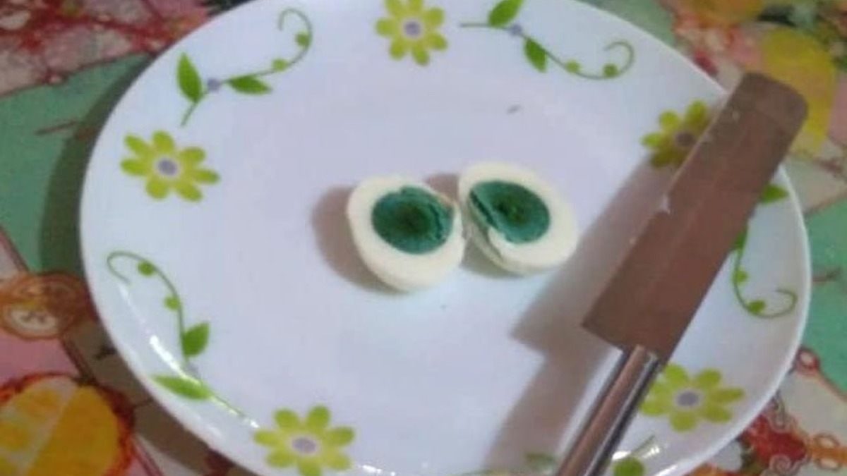 6 hens lay eggs with green yolks in Kerala; scientists begin looking for reason